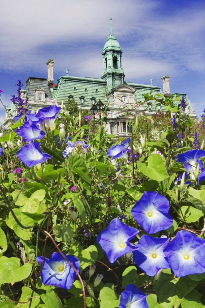 Canada, Quebec, Montreal City Hall building art print by Dennis Flaherty for $57.95 CAD